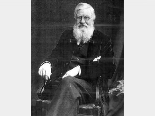 Alfred Russel Wallace picture, image, poster